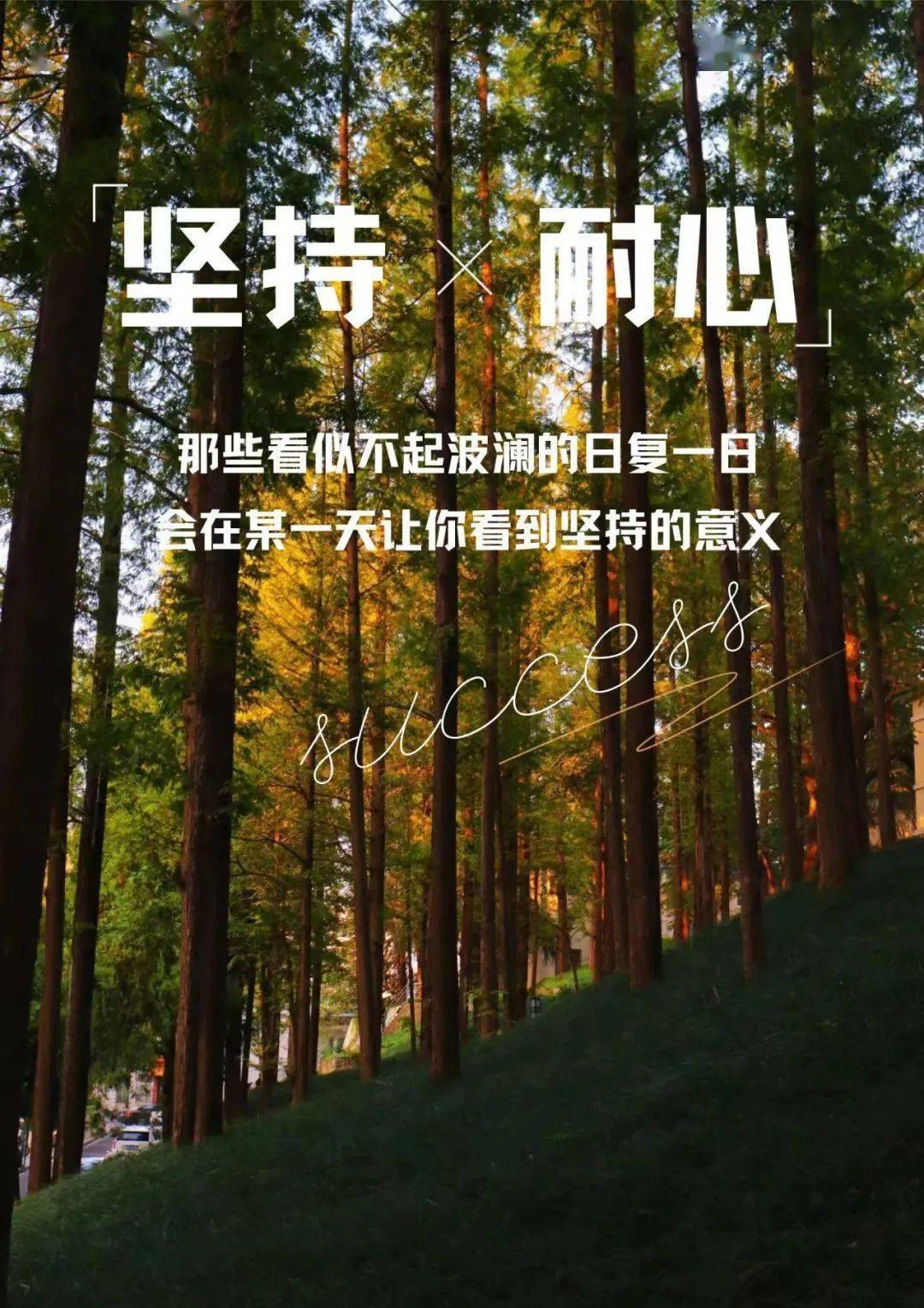 我们在信阳师范大学等你!_高考_汗水_未来的
