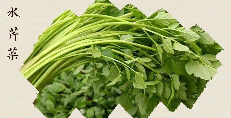 食疗功效:富含多种维生素,还有丰富的膳食纤维,有一定的通便,降压降脂