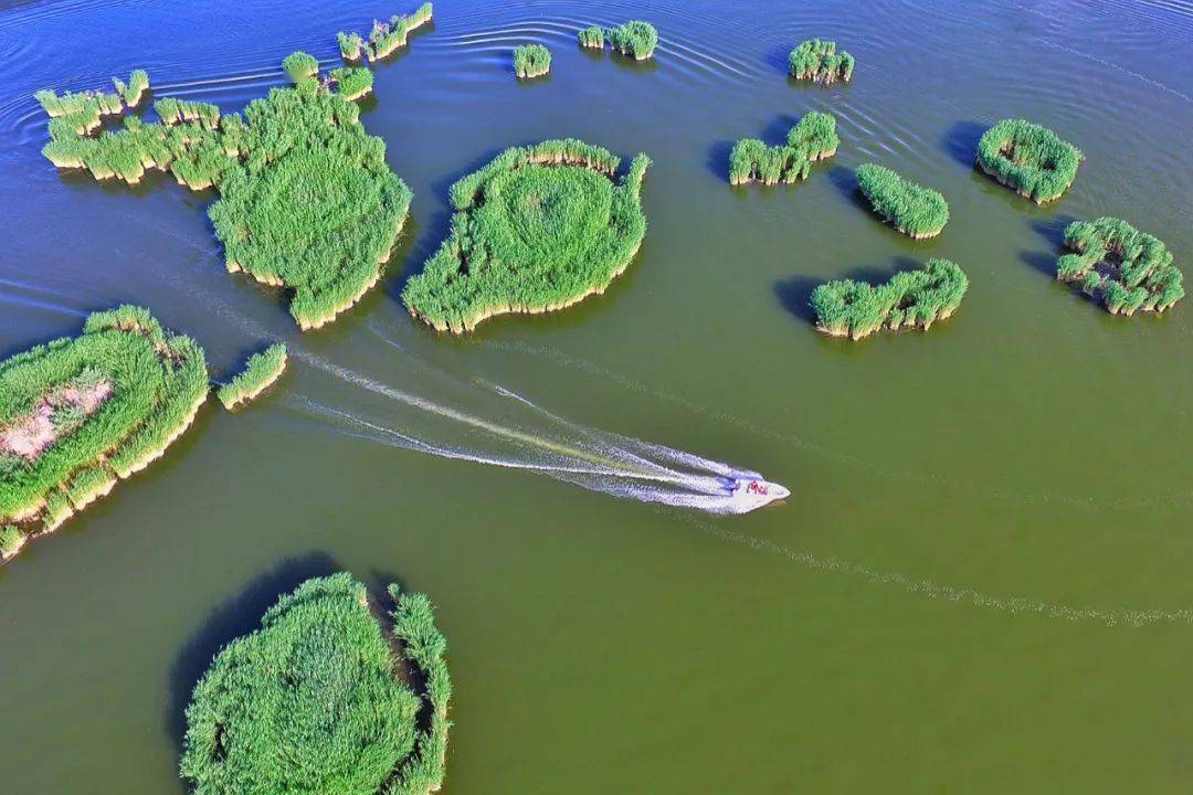 巴州做客央视都推荐了什么?_全国_中国_文化