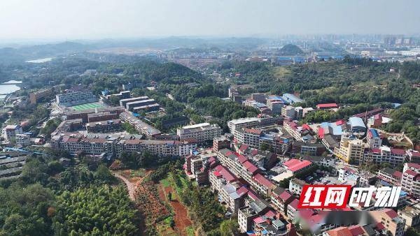 邵阳市双清区:农村人居环境整治见成效_工作_高崇山镇_群众