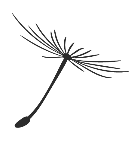 与其临渊羡鱼,不如退而结网,用力拥抱梦想!