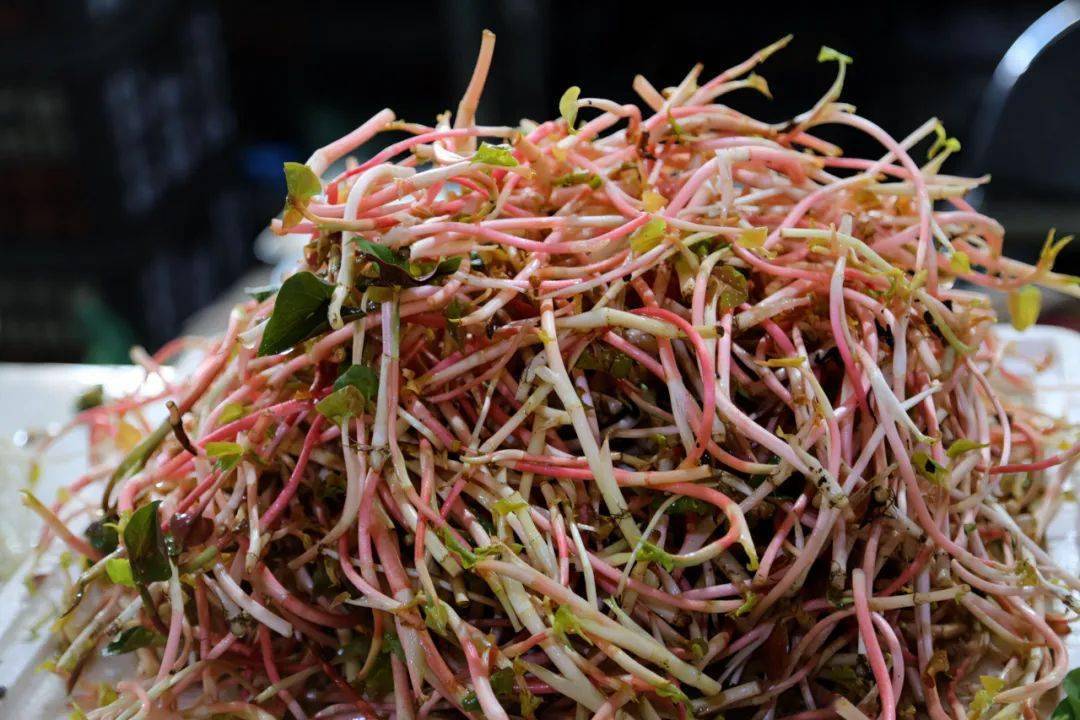 咬住春天,在大理67" 放肆撒野 "_树皮_马桑_木瓜