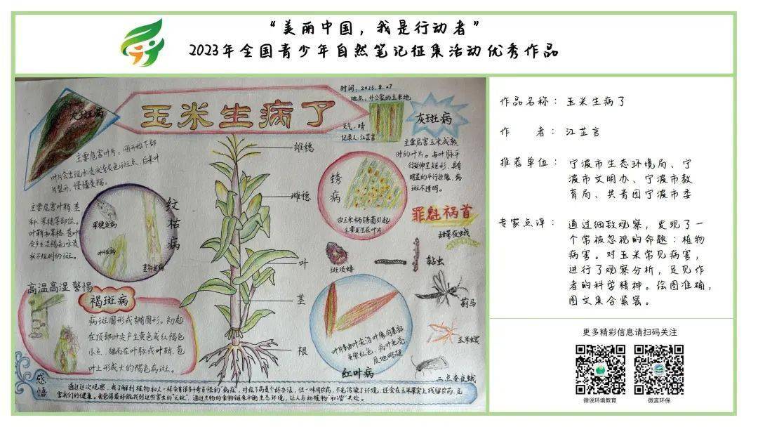 展播美丽中国我是行动者2023年全国青少年自然笔记征集活动优秀作品第