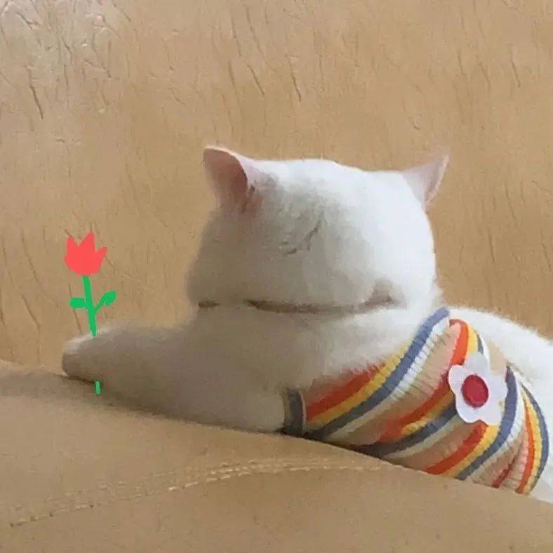 每一张都超级好看,快回复【头像】拿图吧95整理了超多情头,闺蜜头