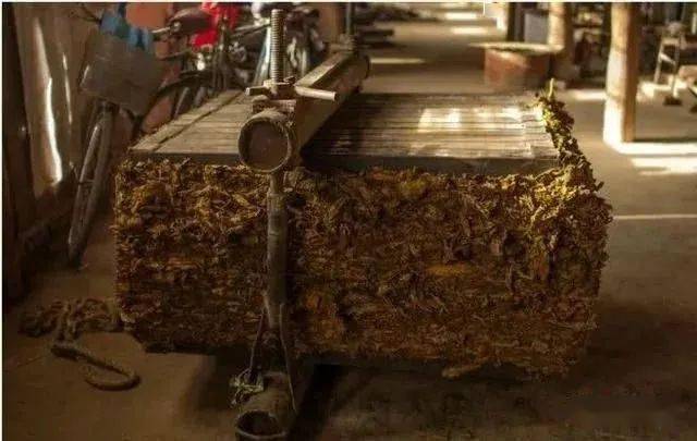 义津往事(52)丨父亲和他的烟刨小组_黄烟_朱大年_高国庆