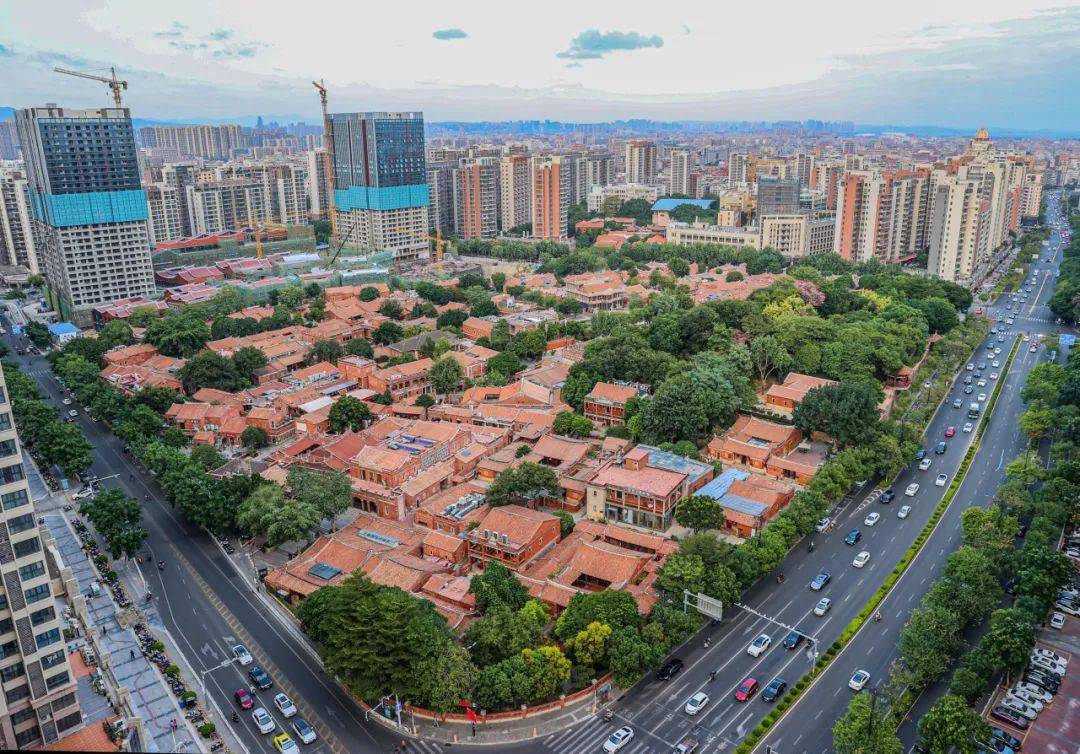 涉及梅岭,青阳,安海,紫帽……_东新区_教育规划_建设