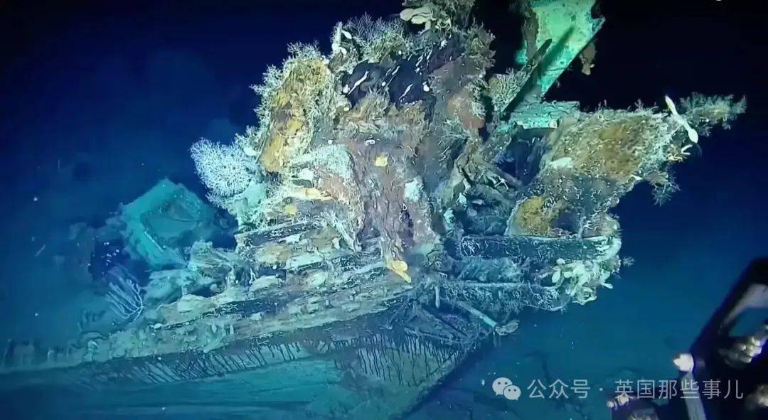 和贝类所覆盖:随后在2022年6月,另一支探险队用遥控潜水器深入海下,带