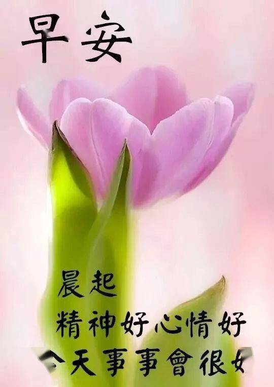 早上好图片漂亮祝福,早上好问候祝福语精选图片_生活_友情_人生