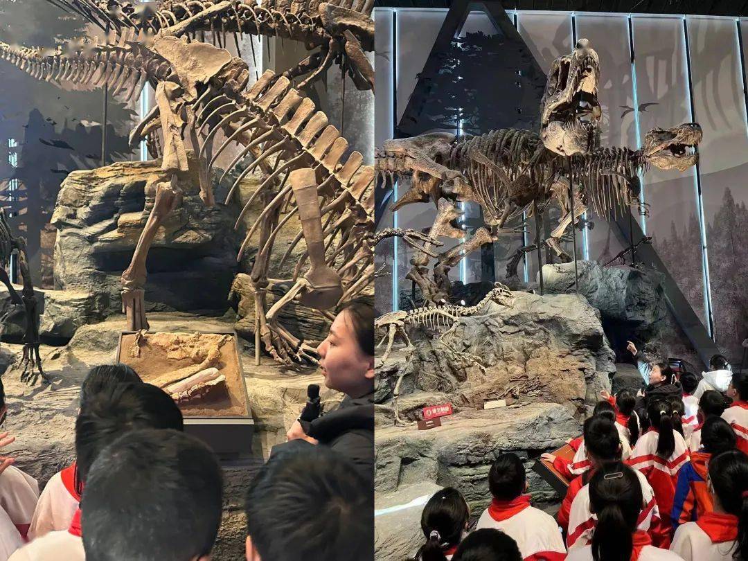 重走古老足迹 探索科学奥秘——高新区实验学校"我在保定修化石"研学