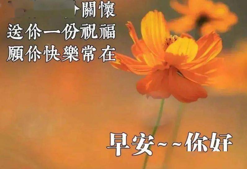 早上好图片漂亮祝福,早上好问候祝福语精选图片_生活_友情_人生