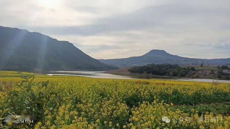 罗茨骑游_仁兴镇_螳螂_到达