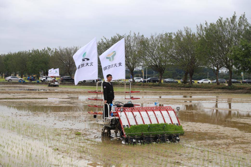 增城田间地头"火力全开"!_生产_工作_农业