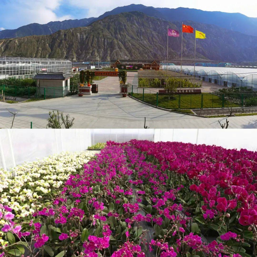 陇南兴朝格兰云天国际酒店消费帮扶活动兴朝格兰云天国际酒店推出3.