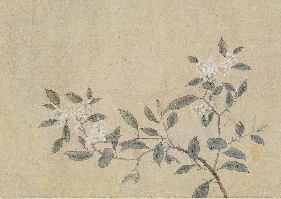 春日里的花花世界