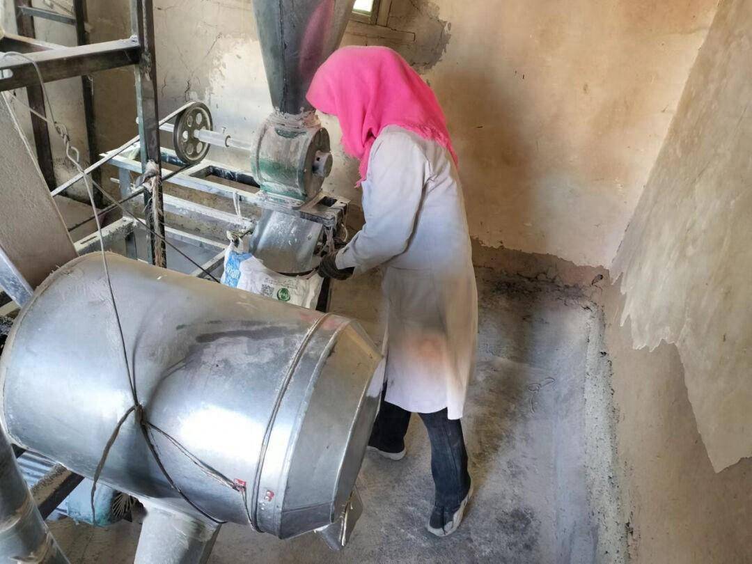 听见隆隆作响的电动磨声,简陋的磨坊里,农妇赵福荣正忙着给乡亲们磨面