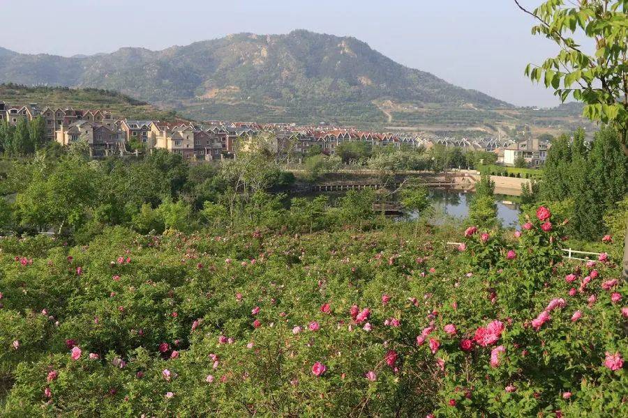 遛娃专属 |【百福香园】￥29.9抢单人门票(可免费携带1名1.