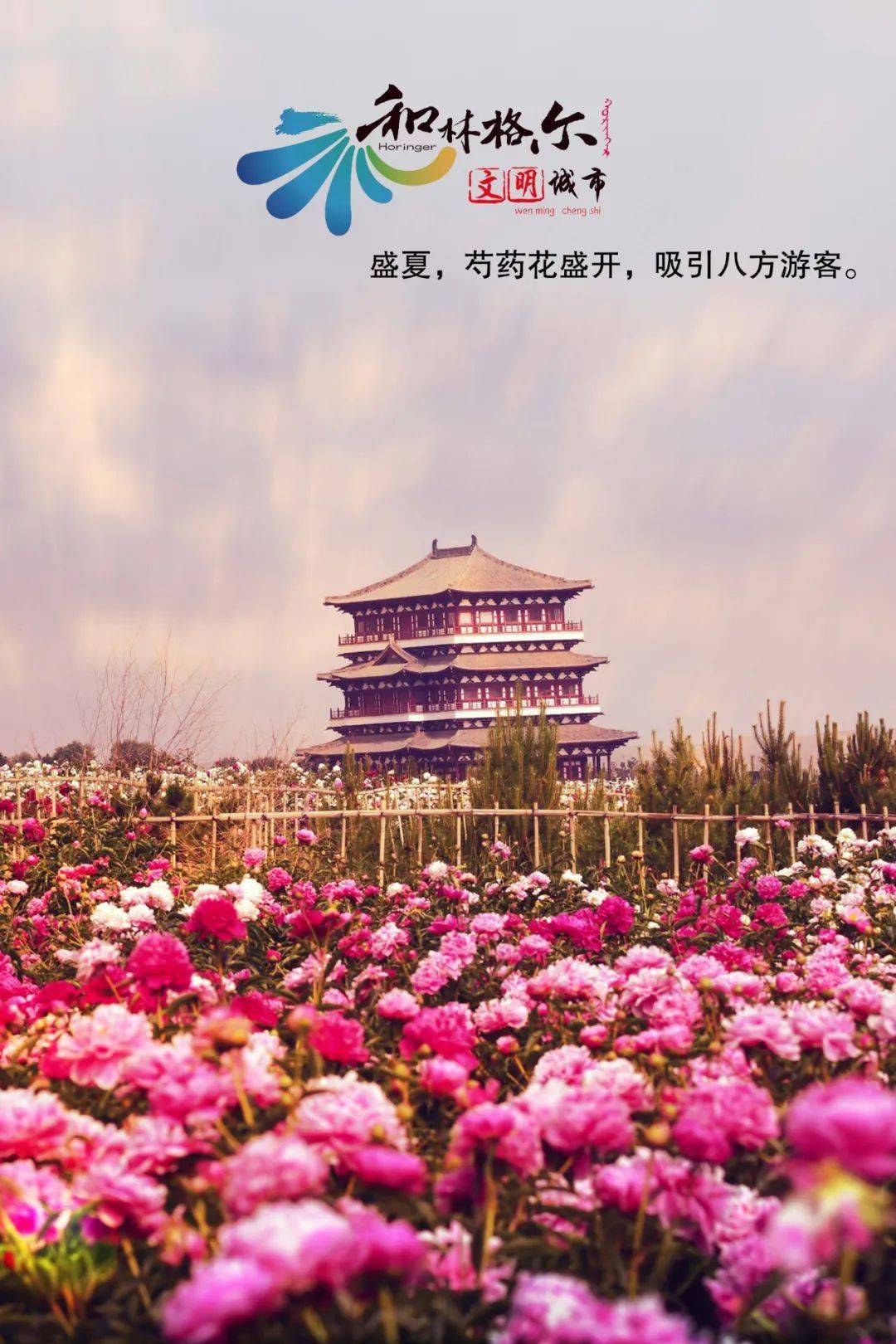 1,和林格尔有一个地方,比额济纳的胡杨林还美丽,比甘南的人文更淳朴!