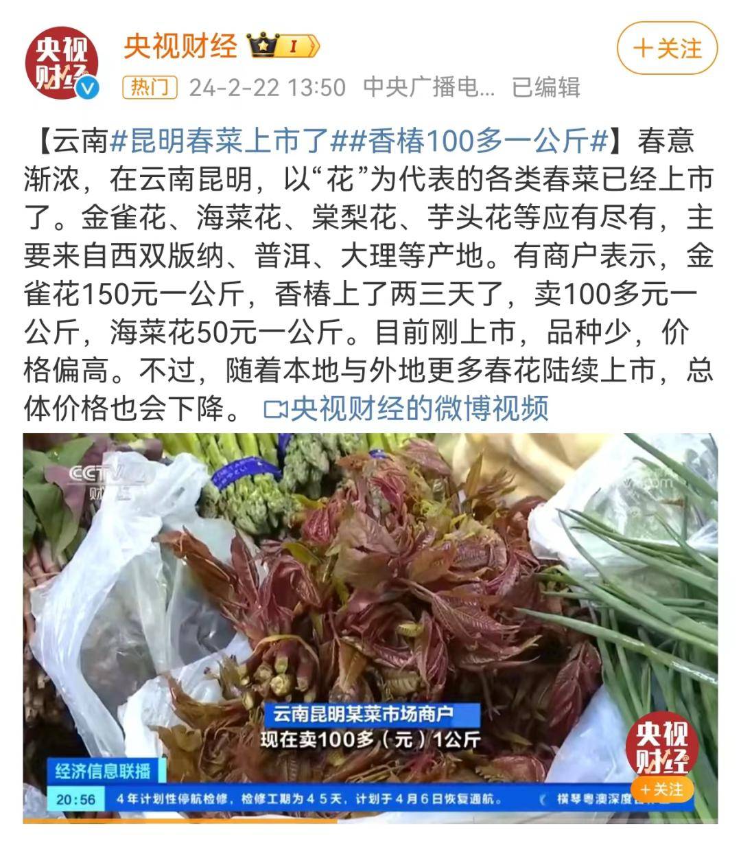 今年香椿价格可以说是大跳水