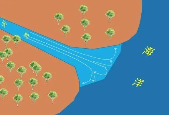 (1) 海水顶托常见类型02水体顶托作用:是指一股水流注入另一水体时