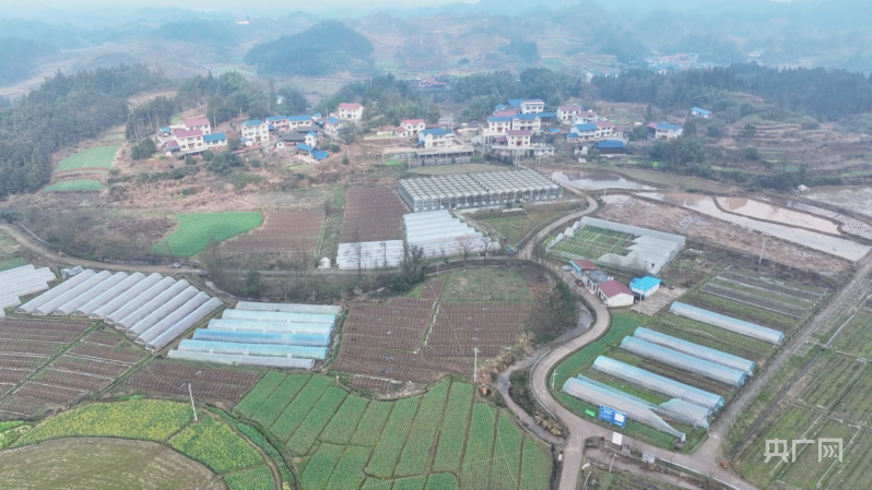 湖南怀化抢抓农时不负春蔬菜基地春种忙