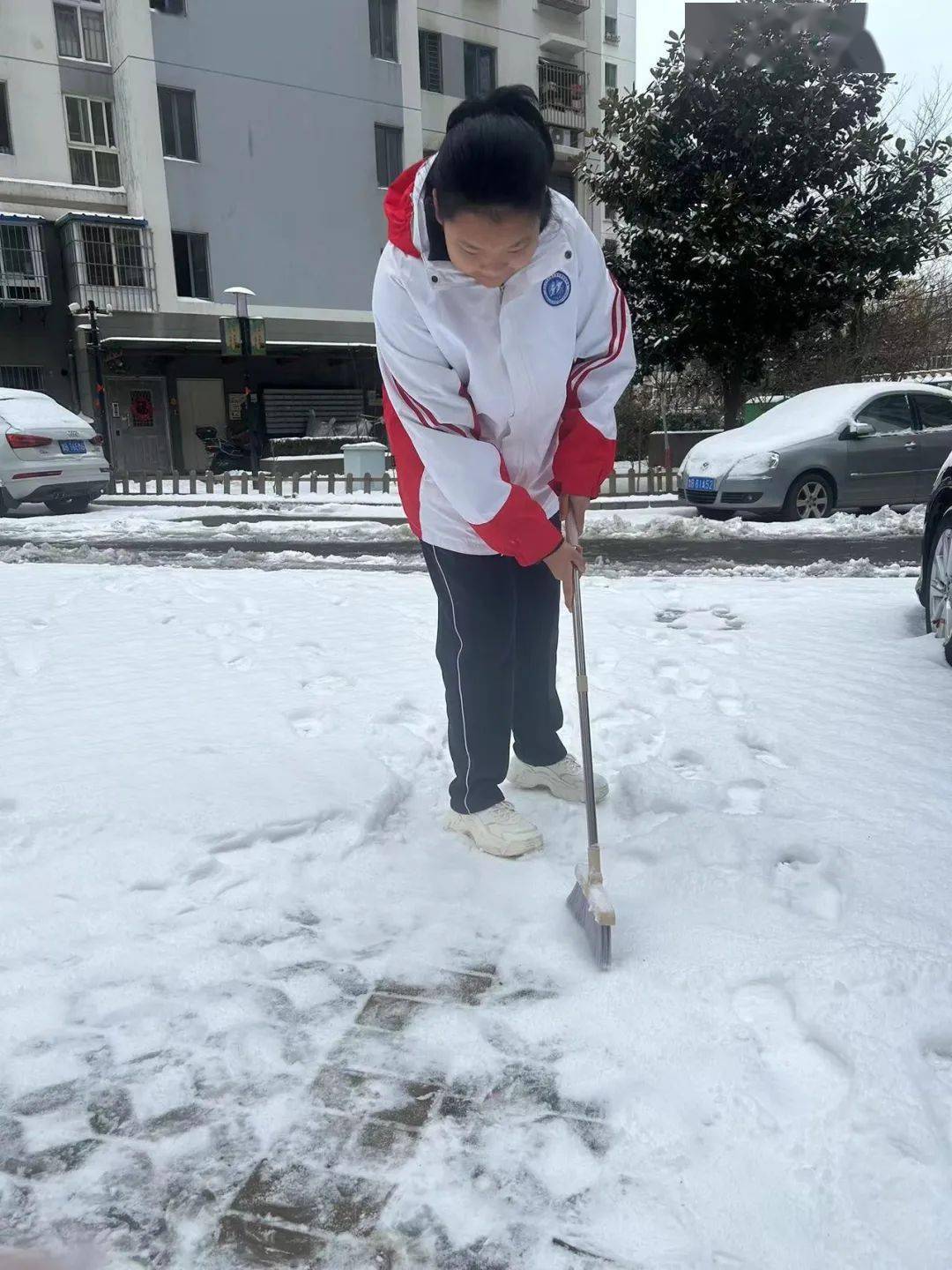 中学生扫雪照片图片