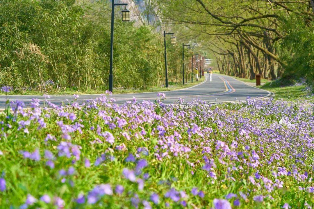 台,十二峰,石桅岩,丽水街,苍坡古村,芙蓉古村,埭头古村,太平岩3月8日