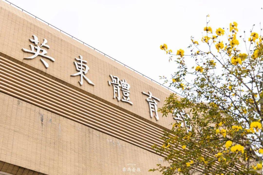 市桥繁华路106号(导航至"英东体育馆") 交通>公交:市桥中心小学站下车