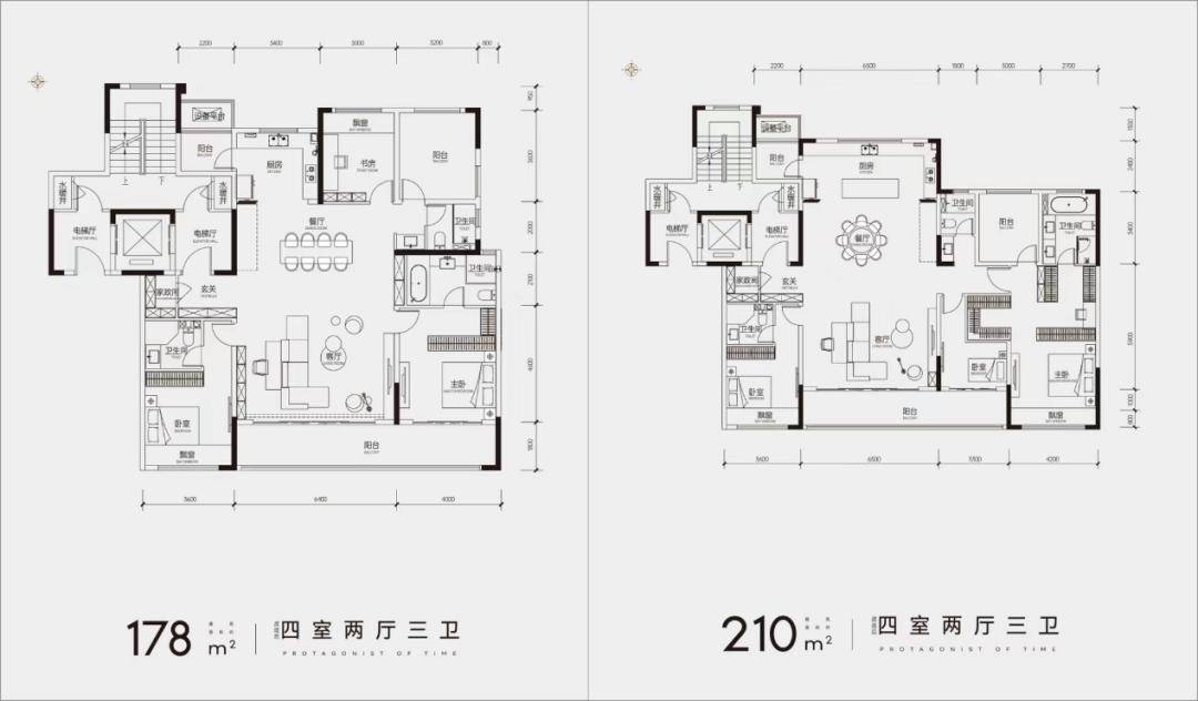 东亚白云湖洋房户型图图片