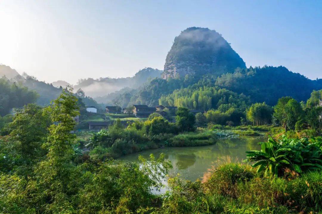 来大武夷赏春光