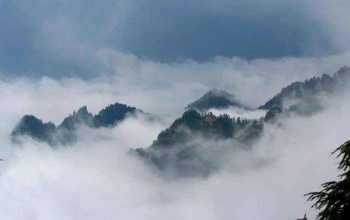 【诗词看秦岭】当"诗魔"白居易遇上秦岭_工作_诗情画意_悟真