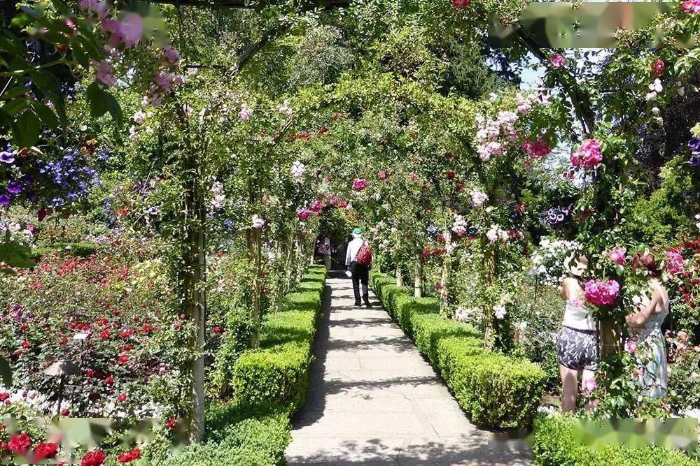 矿老板的私家花园 诠释一年四季的美_查特_的花园_变化