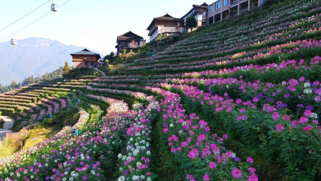 参赛选手福利已就位_景区_桂林_门票