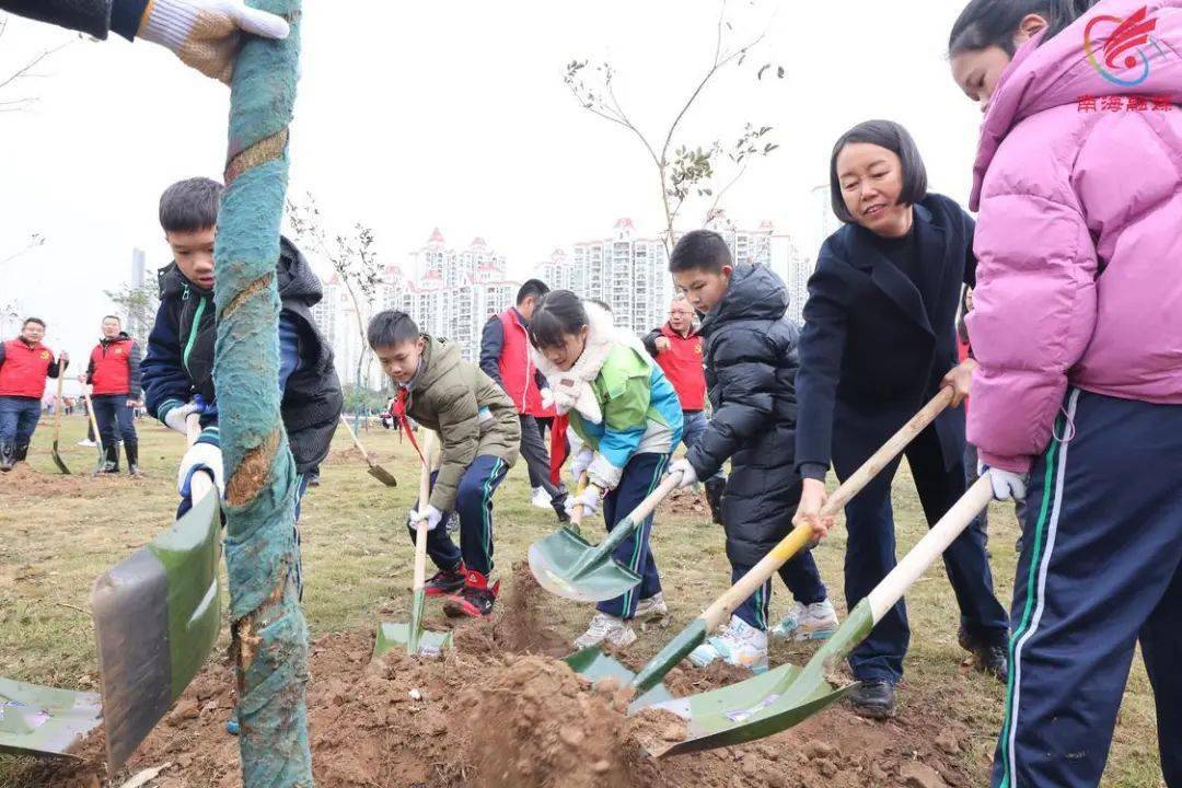 近1.8万棵树苗"安家"!桂城全民植树,共建绿美家园→_绿化_社区_活动