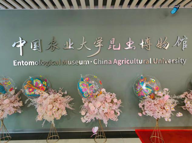 探微虫里乾坤你可以跟随学者四海寻虫的足迹在中国农大昆虫博物馆位居