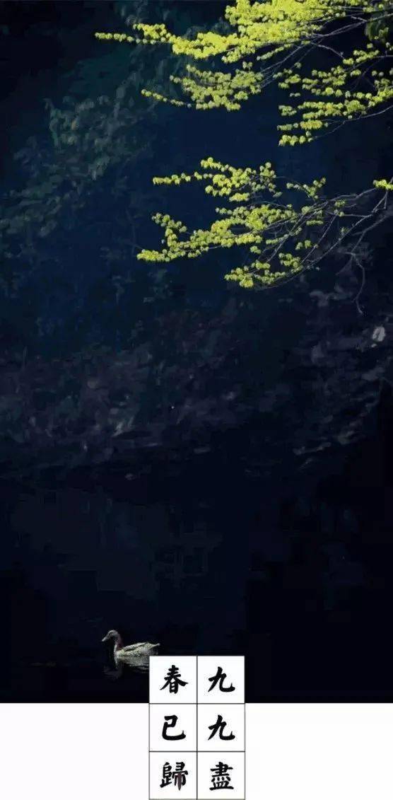 过滤浮躁,储存宁静;朋友是水,滋润一时,保鲜一世;朋友是糖,冲淡苦涩