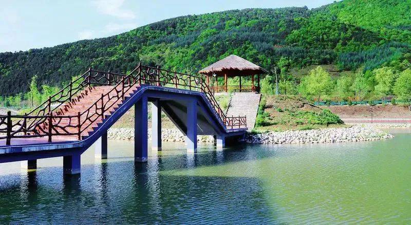 太白县:小小庭院绘新景 和美乡村入画来_建设_工作_全县