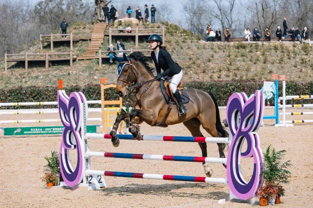 2024年长三角马术联赛在东亭乡成功举办_障碍_赛事_团体