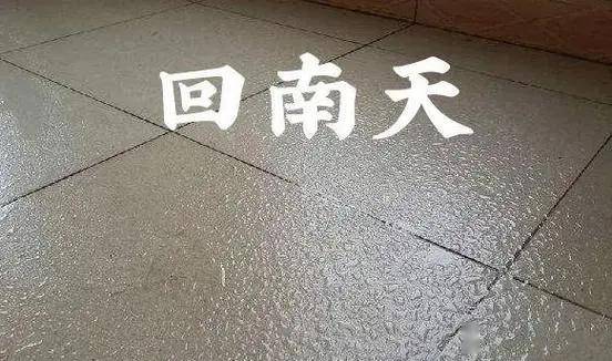 调侃广东的天气图片图片
