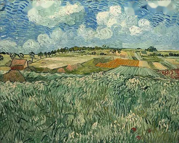 梵高全集 (高清350张)_荷兰_艺术_向日葵