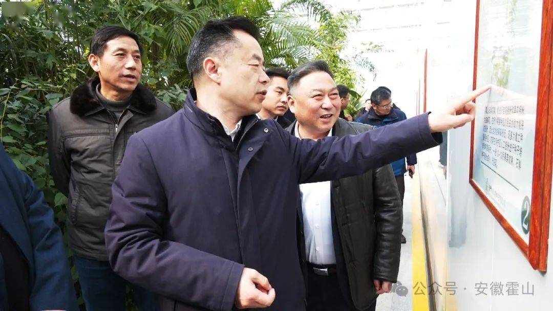 汪学军来我县调研石斛产业发展情况_霍山_市场_资源