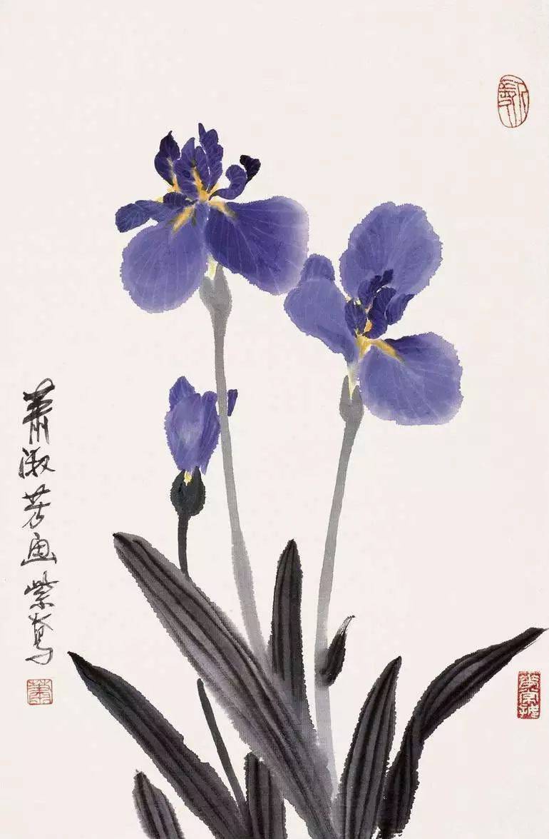 昙花_波罗蜜_般若