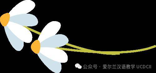 《爱尔兰独立报》:威克洛多所学校举办中国新年庆祝活