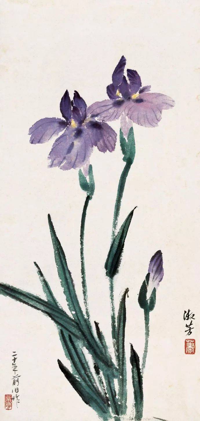 昙花_波罗蜜_般若