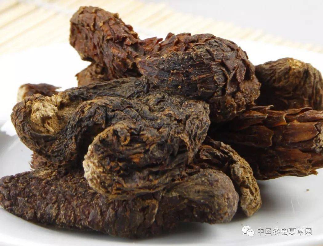 肉苁蓉,沙漠中的宝贝,吃它可补肾壮阳,男人不要错过!_枸杞_方法_小火