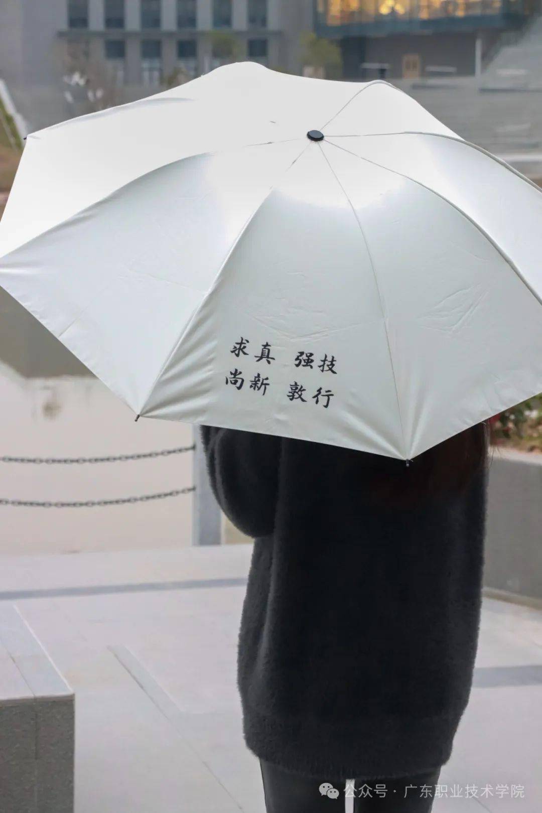 广职又双叒叕出新文创了!_雨伞_官微_期望