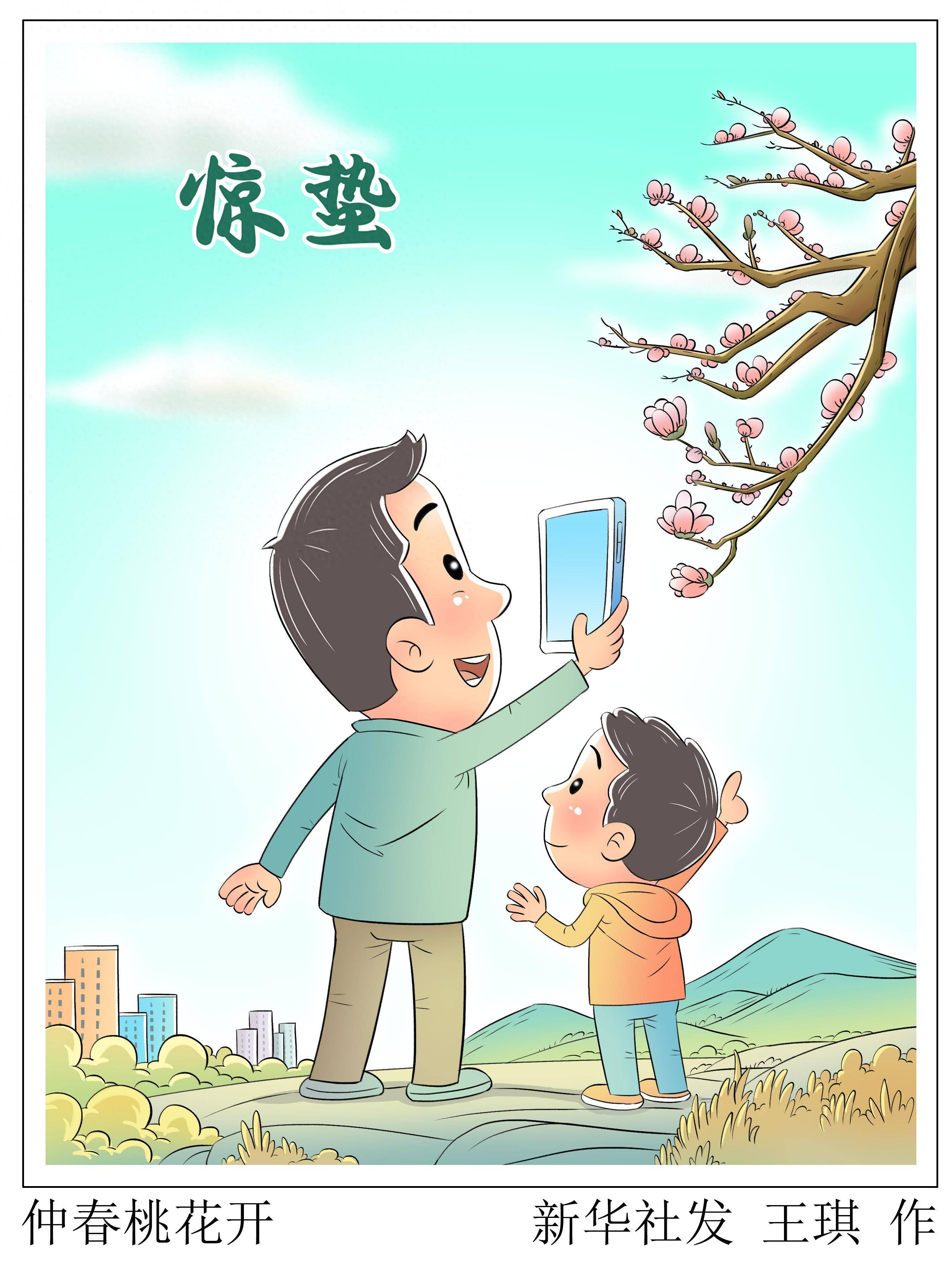 (图表·漫画)二十四节气·惊蛰丨仲春桃花开_新华社_王琪_北京