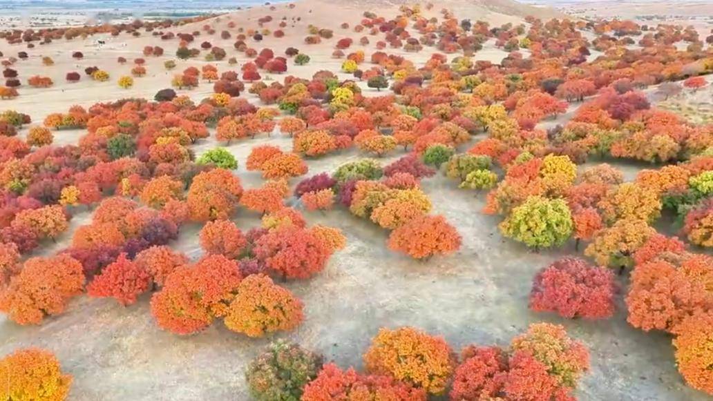 兴安盟·五角枫4莫尔格勒河迂回曲折,缓缓穿过闻名遐迩的呼伦贝尔大