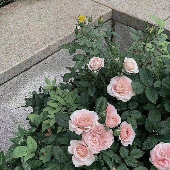 背景图 | 该换新朋友圈背景图啦! 67