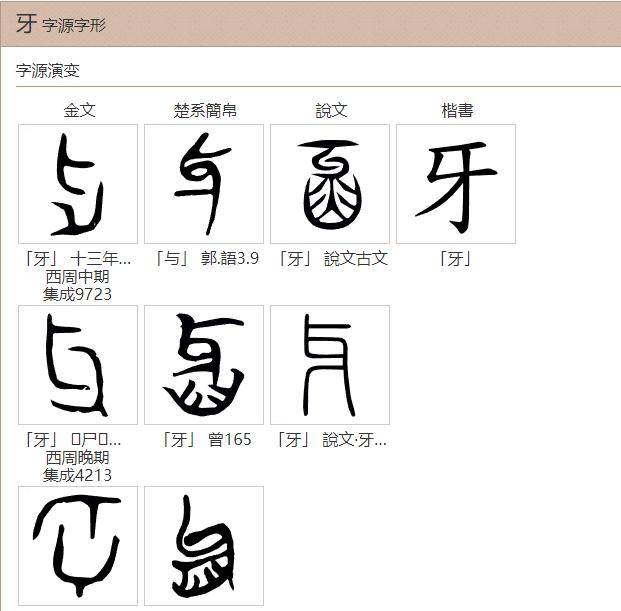 甲骨文的特点,是,象文一致,所以把整个牙槽表示出来男八岁,女七岁换齿