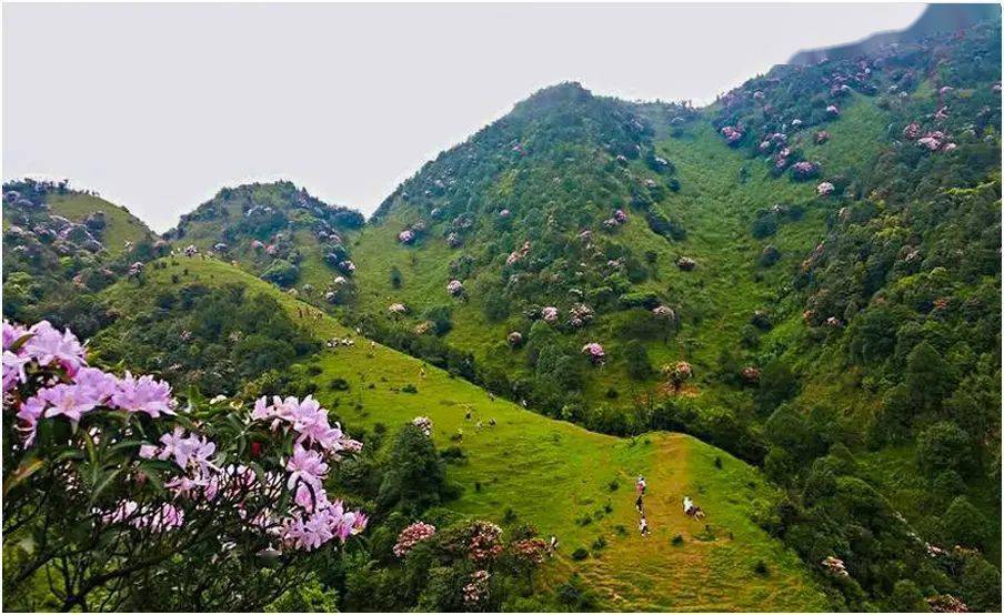 阳春鸡笼顶风景区图片